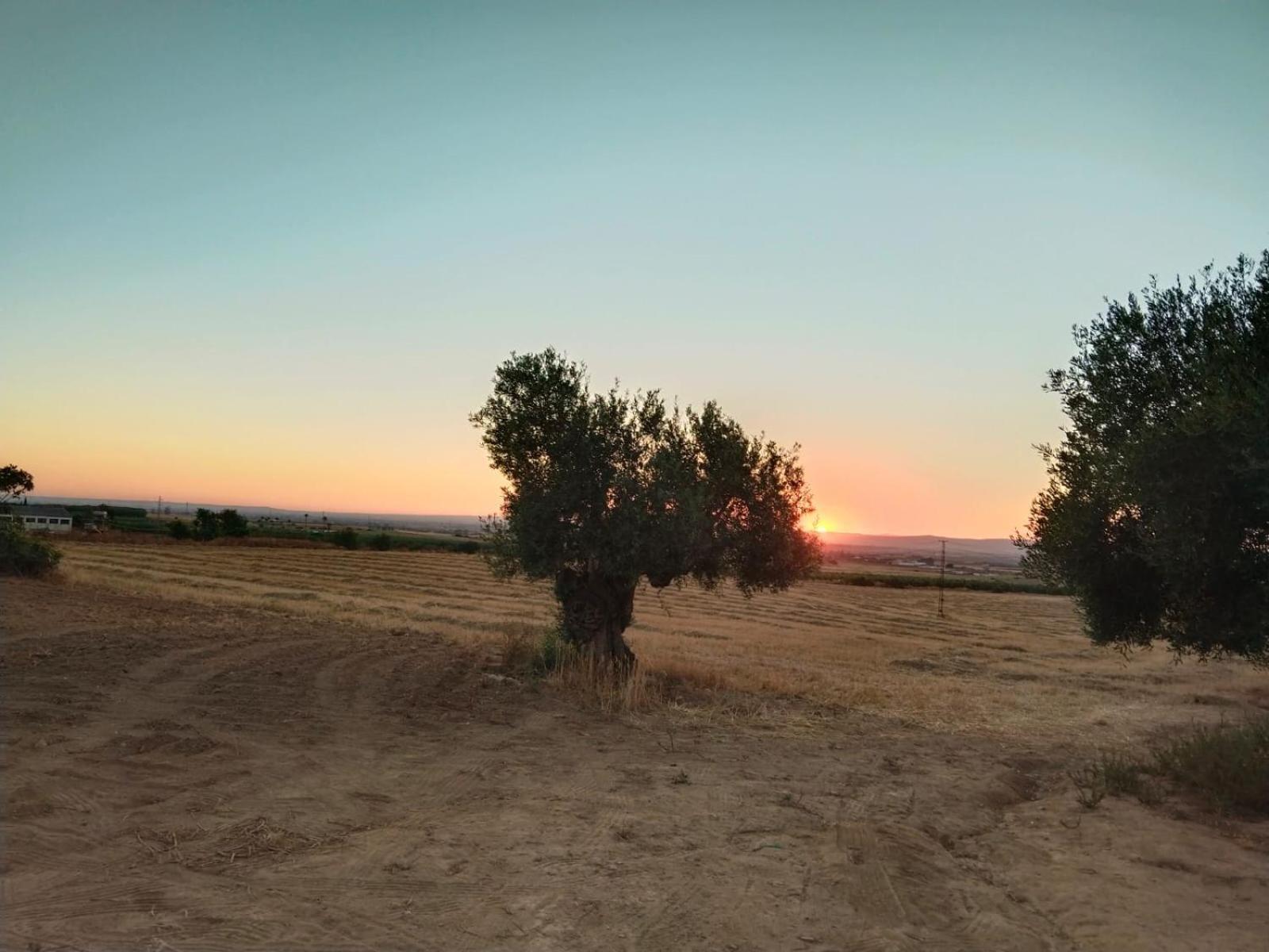 Casa Rural Cerro Campon Καρμόνα Εξωτερικό φωτογραφία