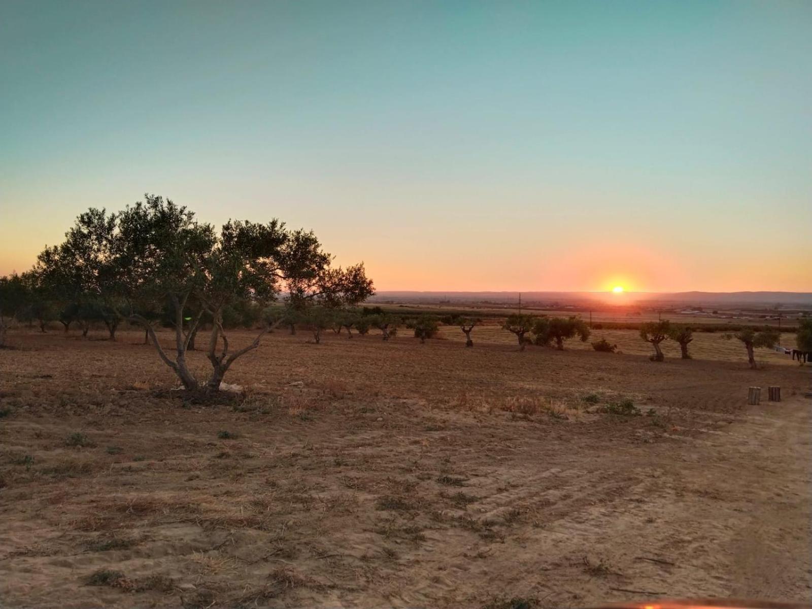 Casa Rural Cerro Campon Καρμόνα Εξωτερικό φωτογραφία