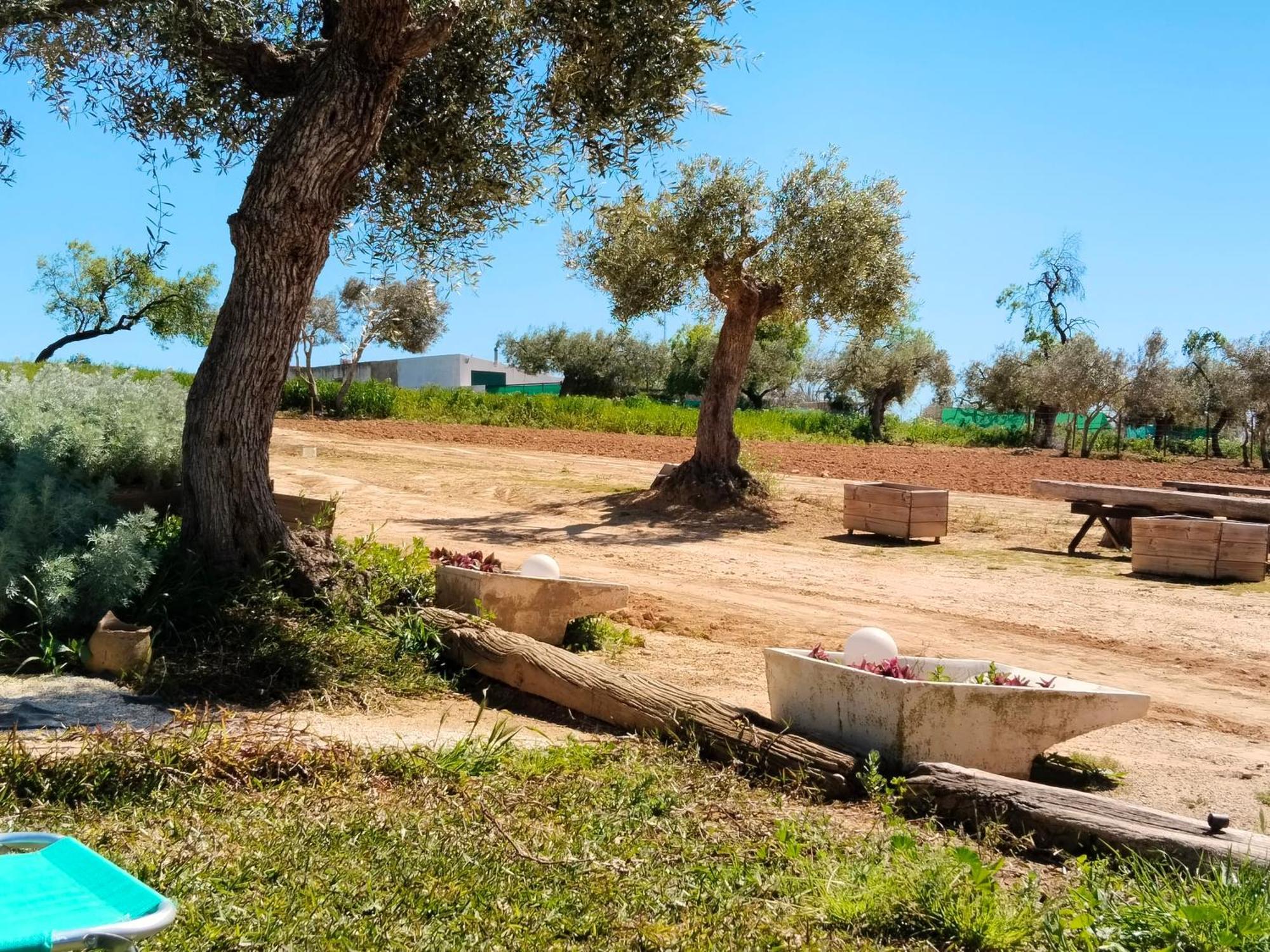 Casa Rural Cerro Campon Καρμόνα Εξωτερικό φωτογραφία